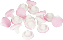 Dals Foam Mushroom 1.8 kg / 4 lbs Bulk Box